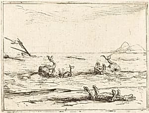 Dolphins and Crocodile by Jacques Callot