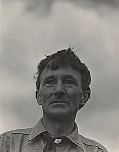 Donald Davidson by Alfred Stieglitz