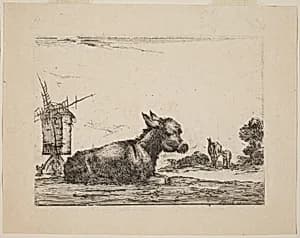 Donkey Resting by Stefano Della Bella