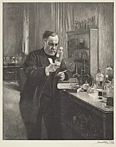 Portrait of Timothy Cole after Albert Edelfelt