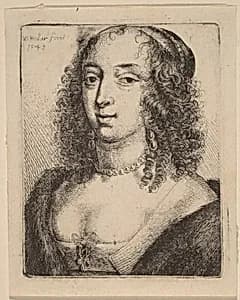 Portrait of Wenceslaus Hollar after Sir Anthony van Dyck