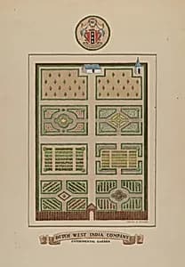 Dutch West India Company by Helen Miller