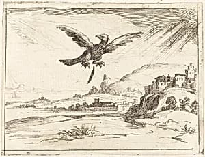 Eagle Losing an Old Feather by Jacques Callot