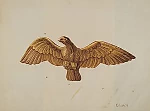 Eagle
