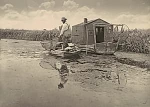 Eel Catcher's Home by Peter Henry Emerson