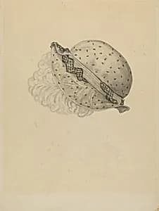 Empire Bonnet by Melita Hofmann