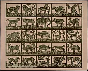 Endpaper with Animals by Johann Maisch