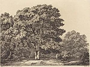 Entrance to a Forest by Eugène Bléry