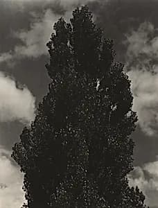 Equivalent by Alfred Stieglitz