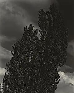 Equivalent by Alfred Stieglitz