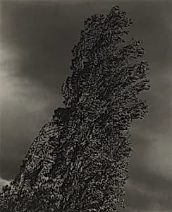 Equivalent by Alfred Stieglitz