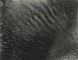 Equivalents by Alfred Stieglitz