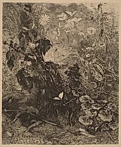 Escargots et papillons by Karl Bodmer