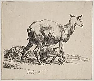 Ewe Nursing Her Lamb by Nicolaes Pietersz Berchem