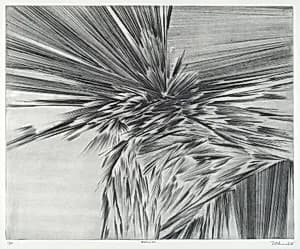 Expulsion