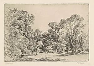 Farmington Grove by Charles Sidney Cheston