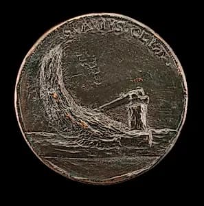 Felled Cypress Tree [reverse]