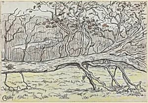 Felled Tree, Normandy by Georges Lacombe
