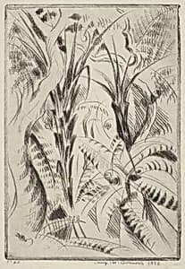 Fern Trees II by Werner Drewes