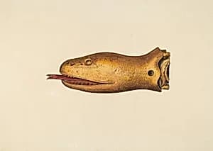Figurehead from the "Diadem" by Hazel Hyde