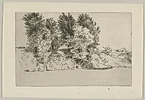 Fisherman with a Net by Félix Bracquemond