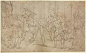 Portrait of Workshop of Luca Cambiaso
