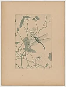 Fleurs (Flowers) by Charles-Louis-M. Houdard