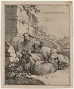 Flock of Sheep Resting by Johann Heinrich Roos