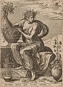 Flora