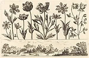 Flower Print no.1