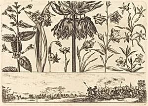 Flower Print no.10