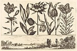 Flower Print no.11