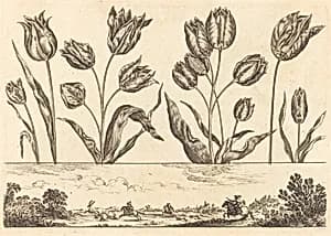 Flower Print no.12