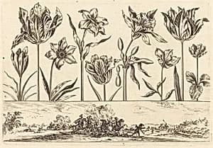 Flower Print no.2
