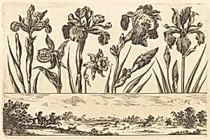 Flower Print no.3