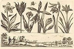 Flower Print no.4
