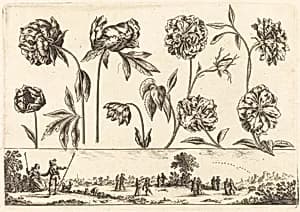 Flower Print no.7