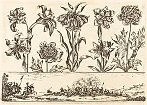 Flower Print no.8