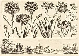 Flower Print no.9