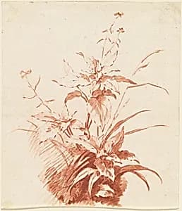 Flowering Plant with Grass by Jean-Baptiste Hüet, I