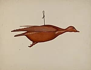 Flying Duck by Malcolm Hackney