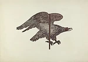Flying Eagle Weather Vane by Robert Barton