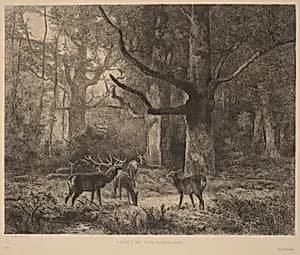 Forêt de Fontainebleau by Karl Bodmer