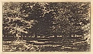 Forêt by Félix-Hilaire Buhot