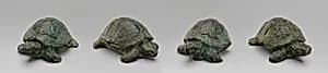 Four Tortoises by Zanobi Lastricati