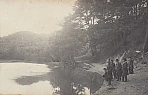 Freienwalde a. O. by Alfred Stieglitz