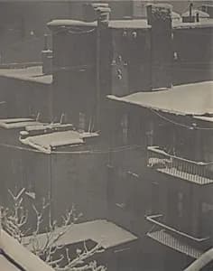 From the Back-Window—291 by Alfred Stieglitz