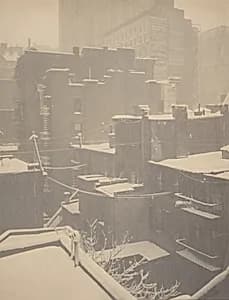 From the Back-Window—291 by Alfred Stieglitz