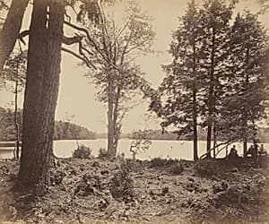 Ganoga Lake by William H. Rau