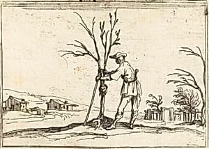 Gardener Pruning a Tree by Jacques Callot